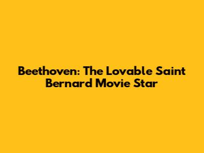 Beethoven: The Lovable Saint Bernard Movie Star