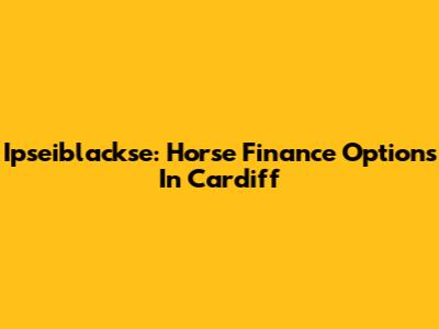 Ipseiblackse: Horse Finance Options In Cardiff