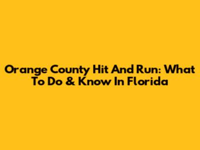 Orange County Hit And Run: What To Do & Know In Florida