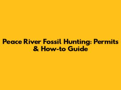 Peace River Fossil Hunting: Permits & How-to Guide