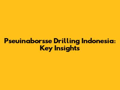 Pseuinaborsse Drilling Indonesia: Key Insights