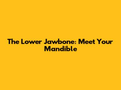 The Lower Jawbone: Meet Your Mandible