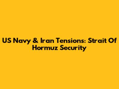 US Navy & Iran Tensions: Strait Of Hormuz Security