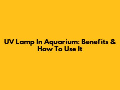 UV Lamp In Aquarium: Benefits & How To Use It