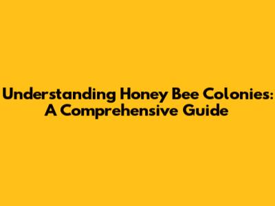 Understanding Honey Bee Colonies: A Comprehensive Guide