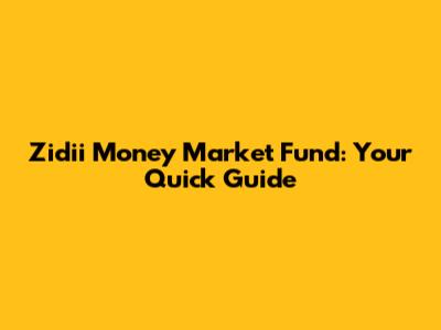 Zidii Money Market Fund: Your Quick Guide